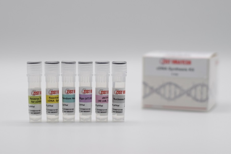 Real Time PCR چیست؟